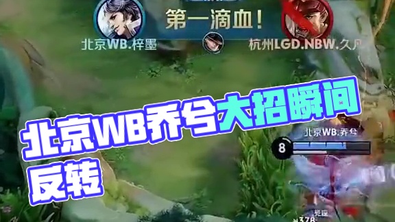 新他的职业