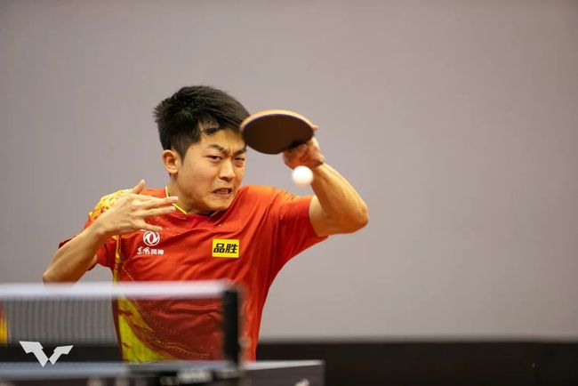 直接原因 直接原因